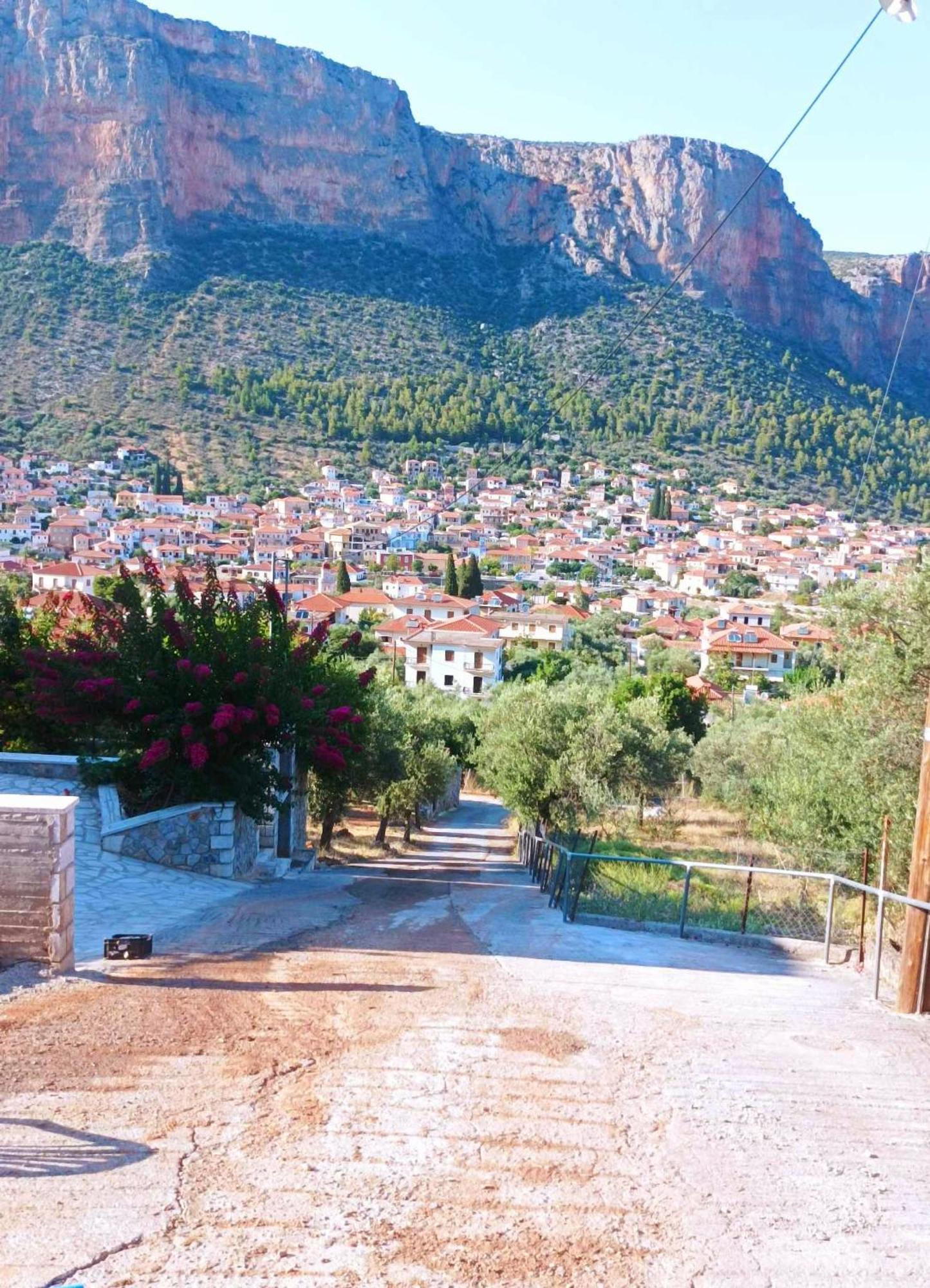 Metaxias House Villa Leonídion Dış mekan fotoğraf