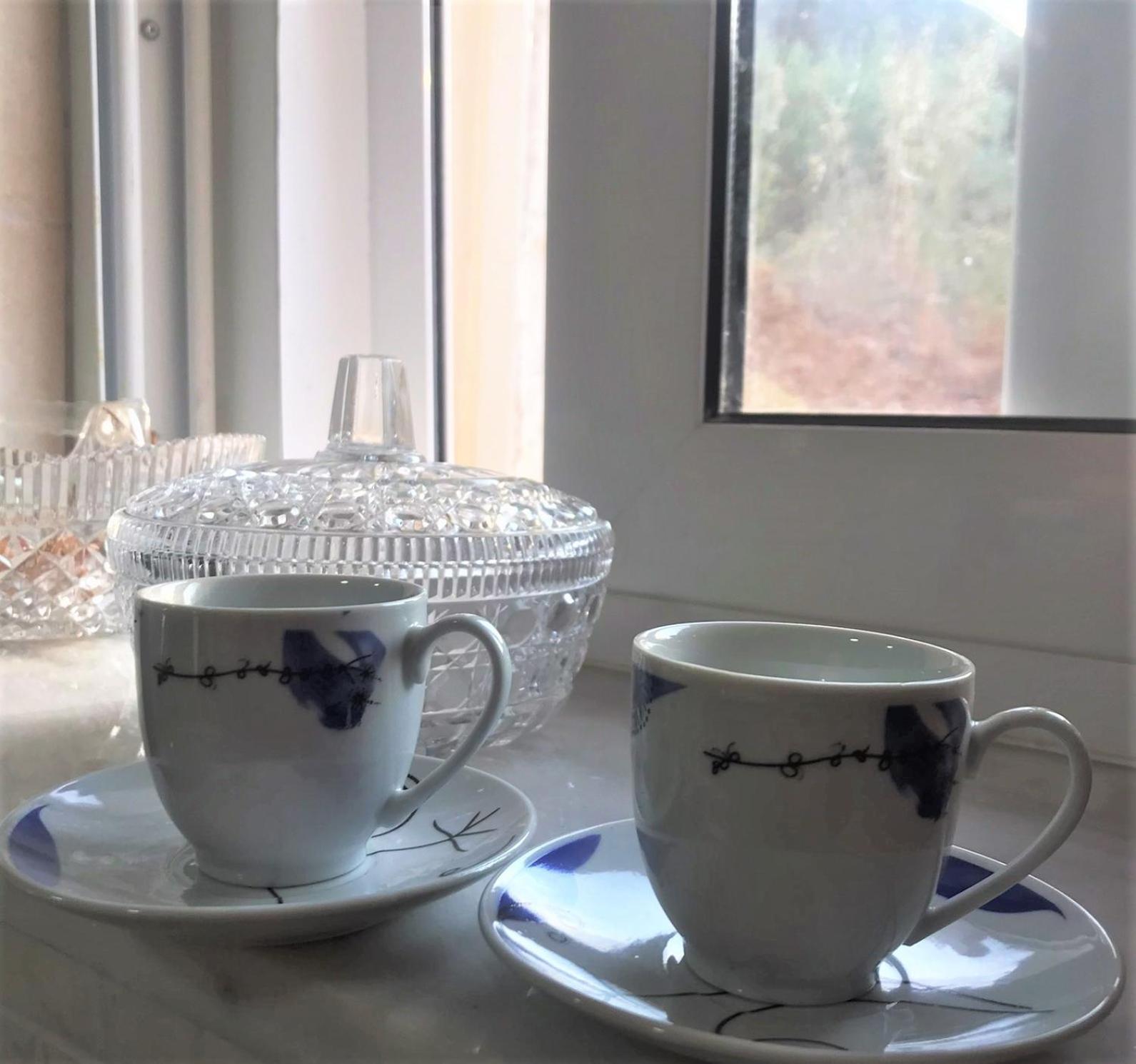 Metaxias House Villa Leonídion Dış mekan fotoğraf